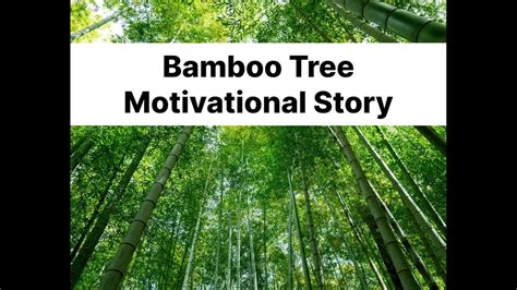 The Bamboo Tree: A Timeless Tale of Perseverance and Transformation from the Philippines!